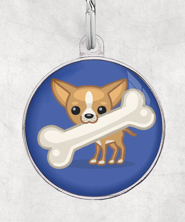 Chihuahua met schuin been