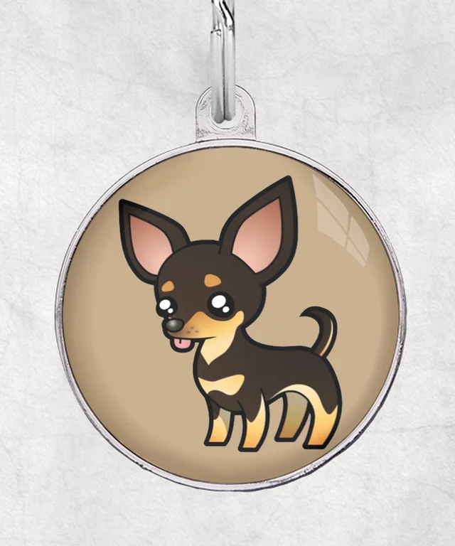 Chihuahua donkerbruin