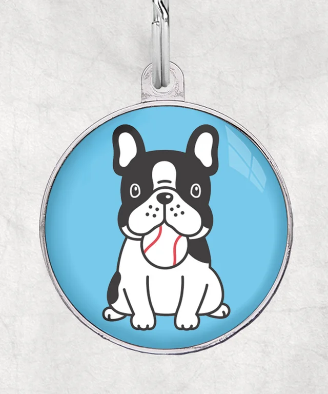 Buldogzwartwit Met Been