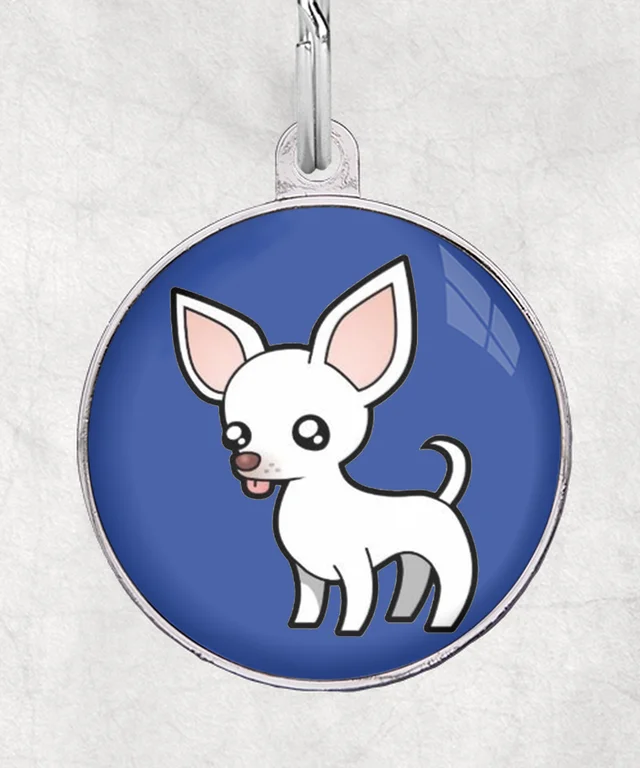 Chihuahua wit