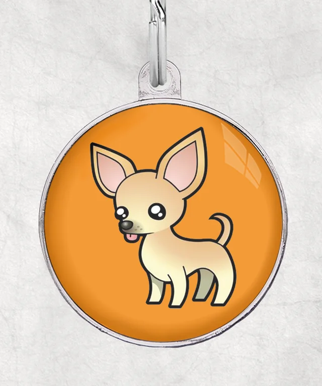 Chihuahua beige
