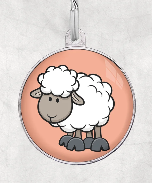 Schaap