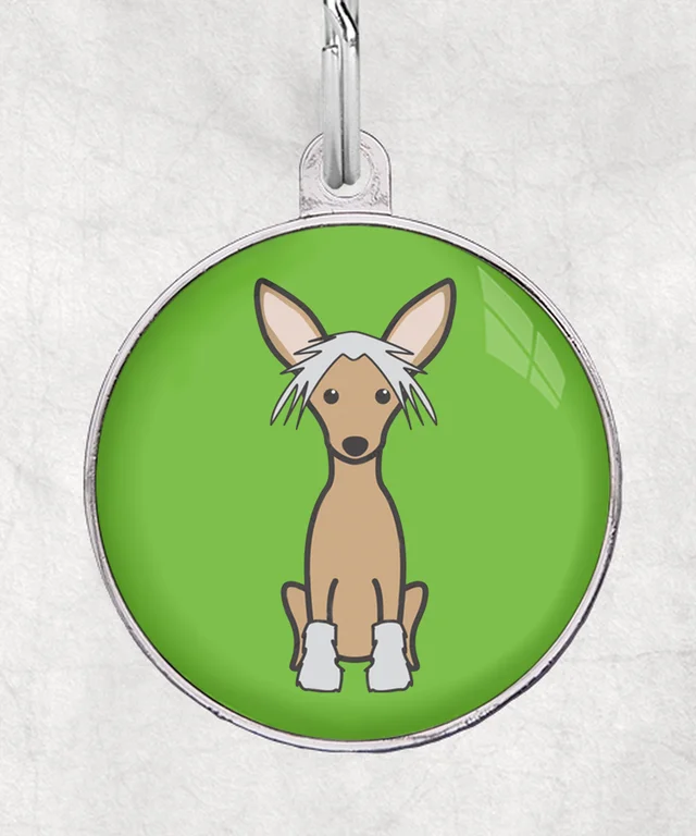 Chinese Crested bruin