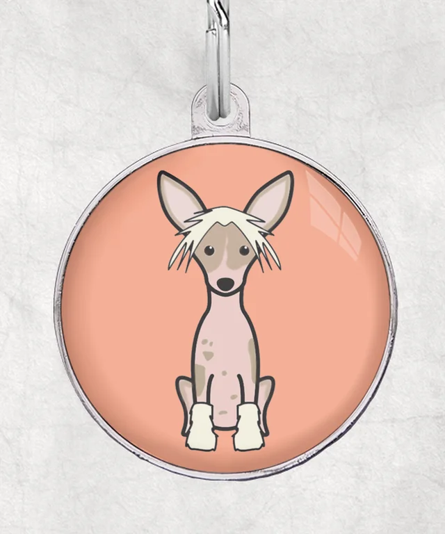 Chinese crested spotted
