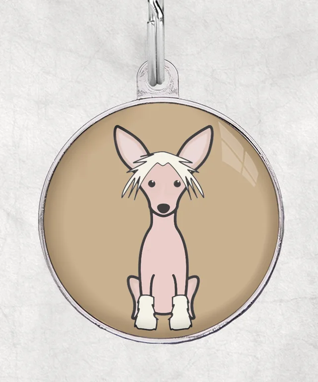 Chinese crested wit