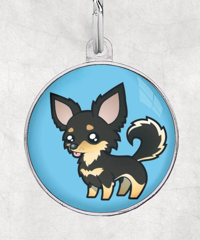 chihuahua zwart langhaar met bot