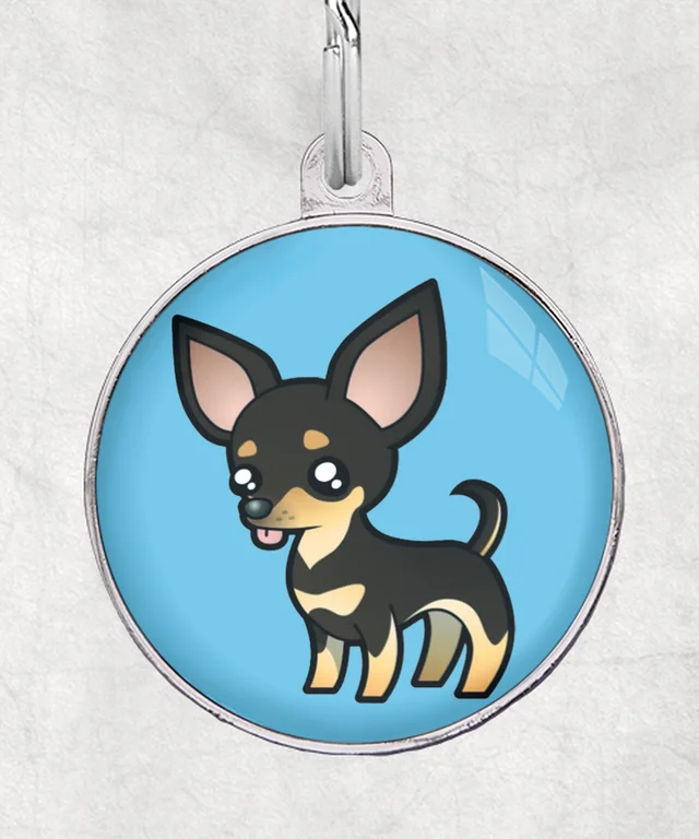chihuahua zwart korthaar