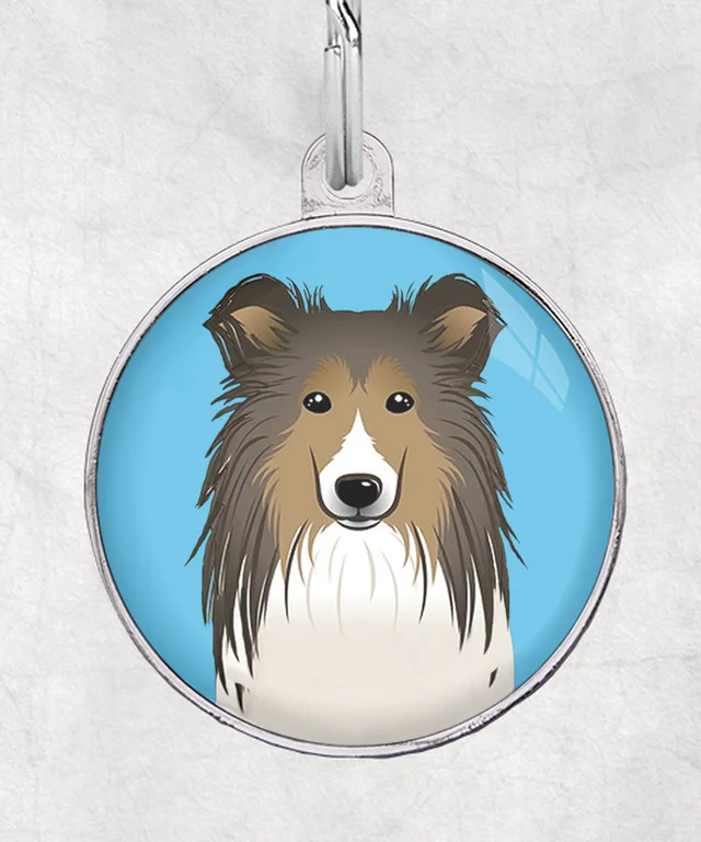 Sheltie sable