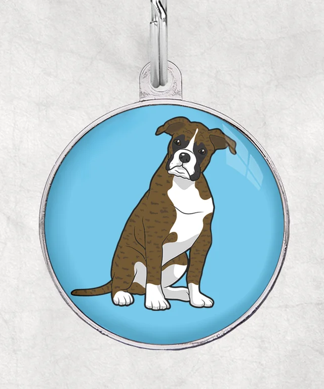 Boxer brindle