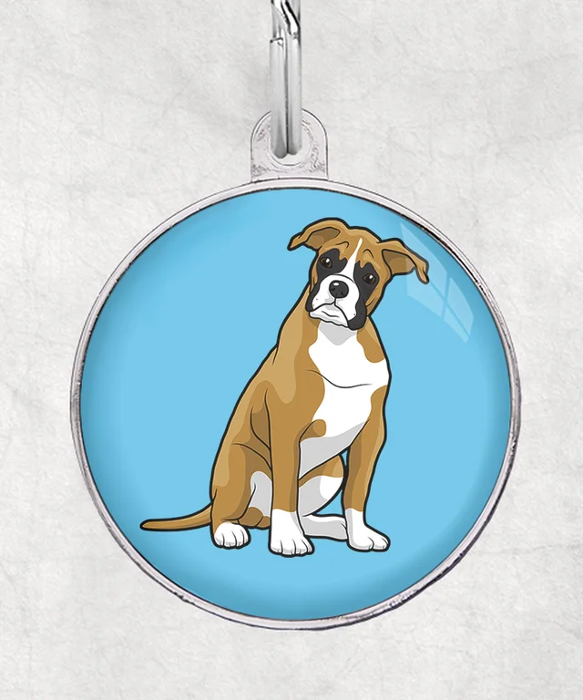 Boxer licht bruin met bot