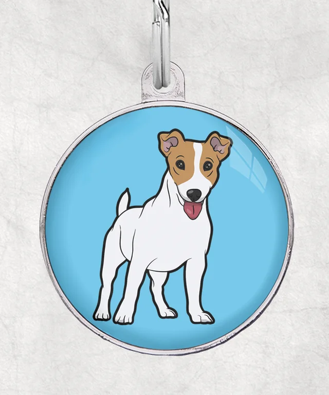 Jack Russel met bot