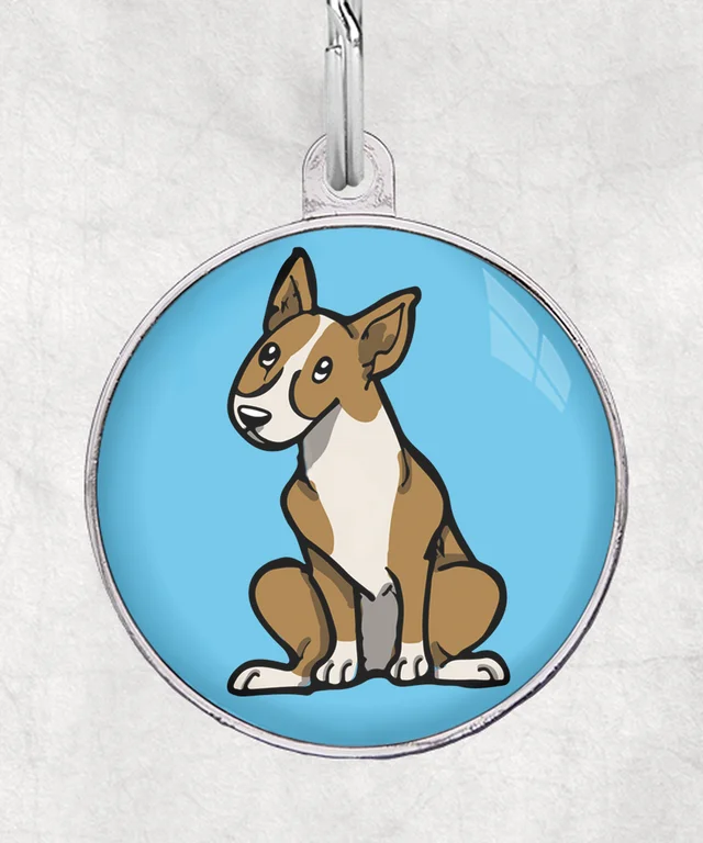 Bull terrier fawn