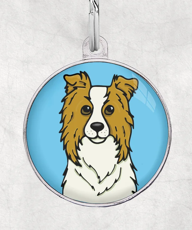 Border collie rood