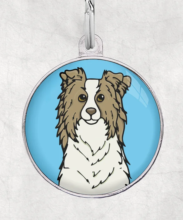 Border collie lilac