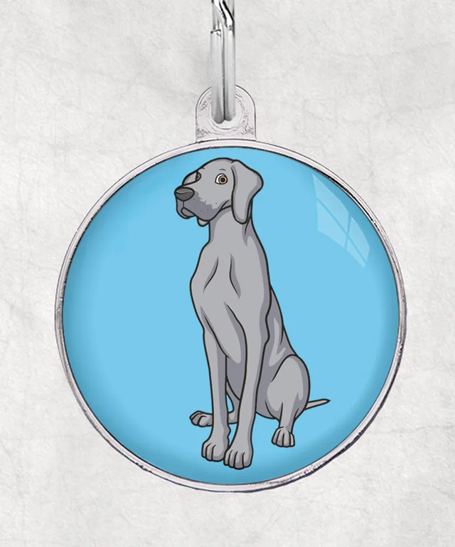 Duitse dog grijs