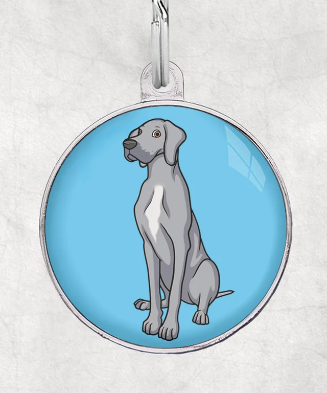 Duitse dog lichtgrijs-wit