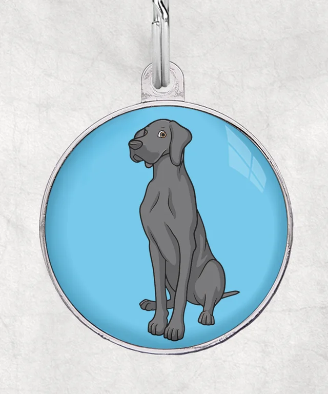 Duitse dog donkergrijs