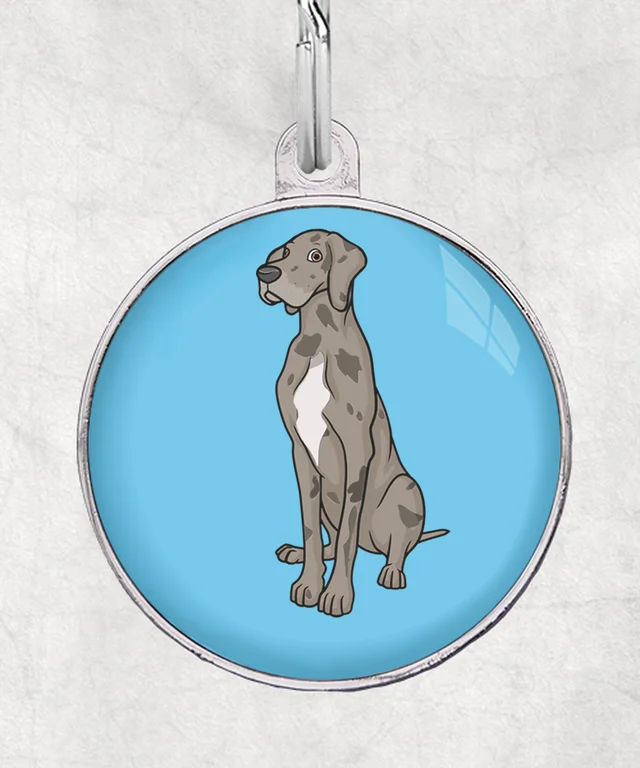 Duitse dog merle-wit