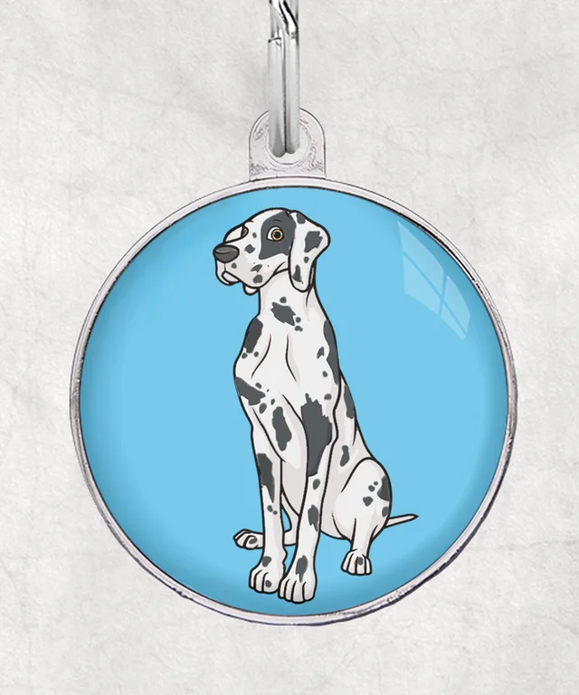 Duitse dog wit-gevlekt