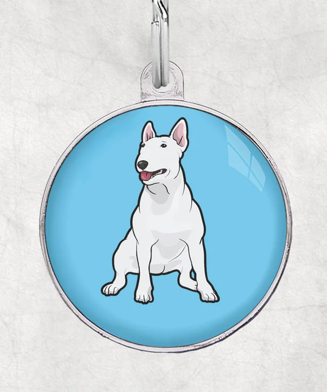 Bull Terrier wit