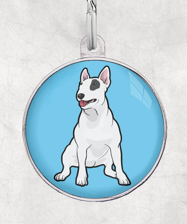 Bull Terrier wit-gevlekt