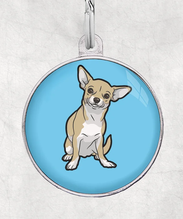 Chihuahua beige