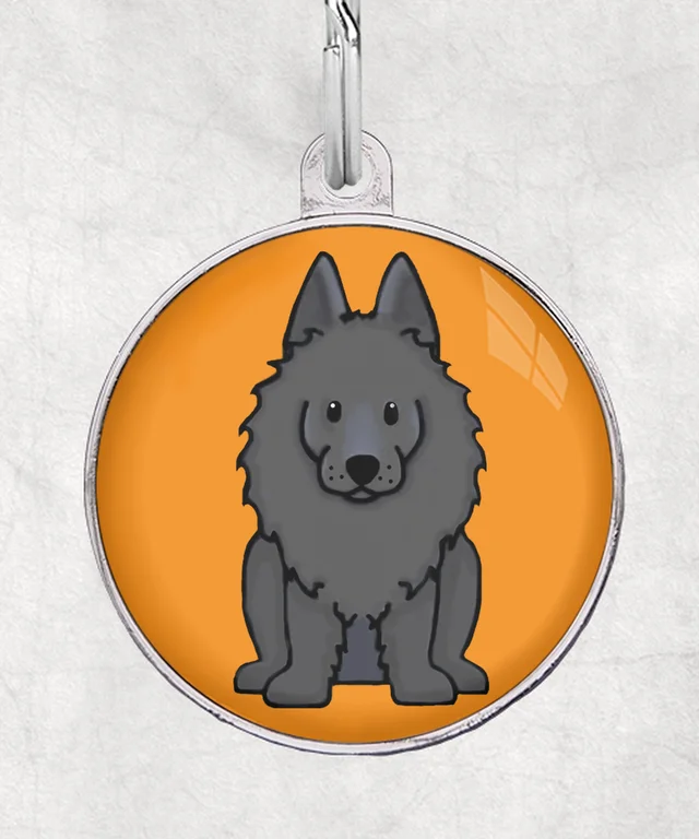 Schipperke met been