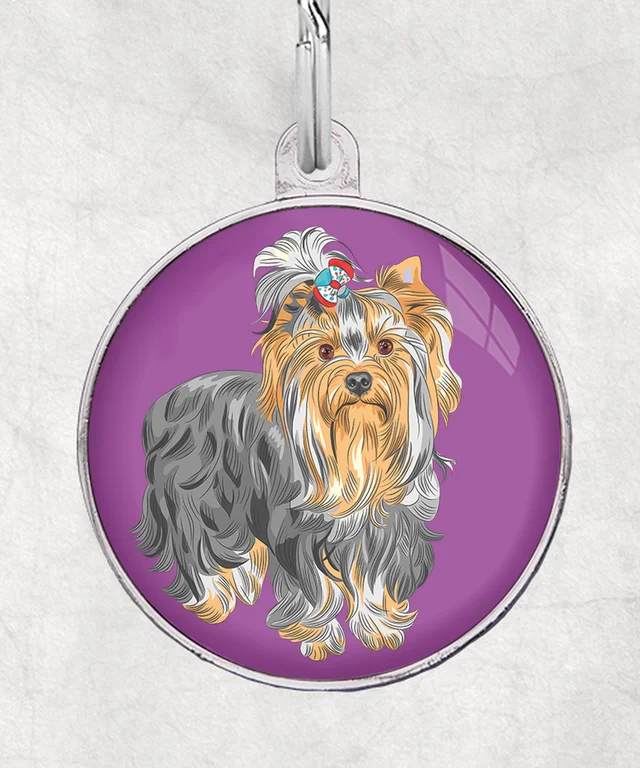 Yorkshire terrier