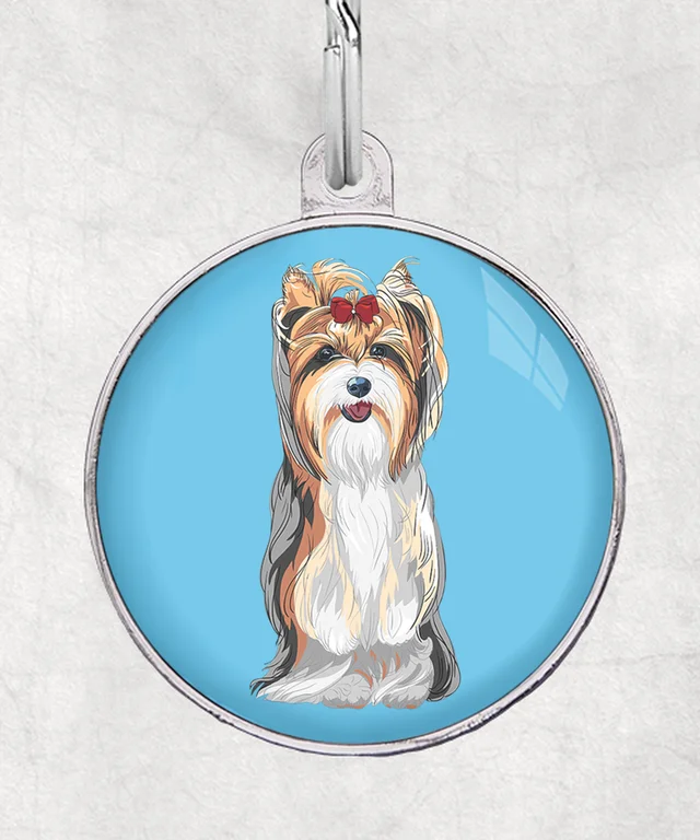 Biewer terrier