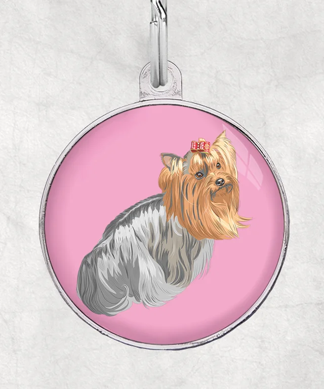 Yorkshire terrier zittend