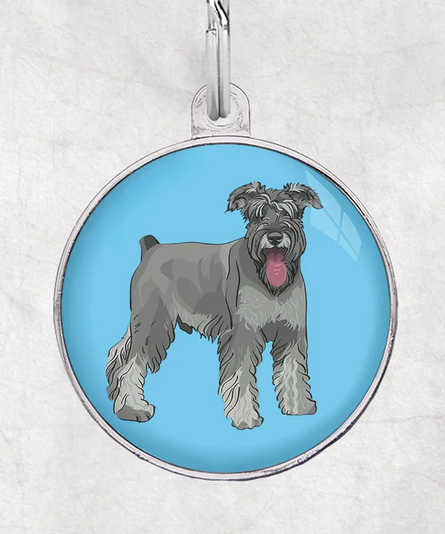 Schnauzer