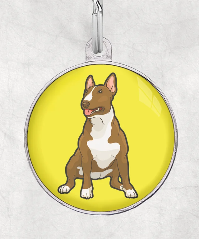 Bull terrier beige