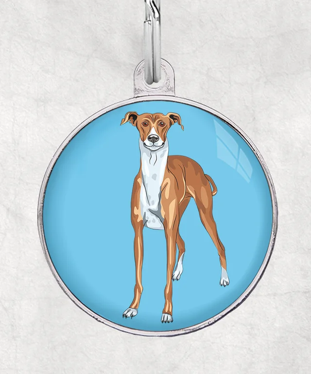 Greyhound