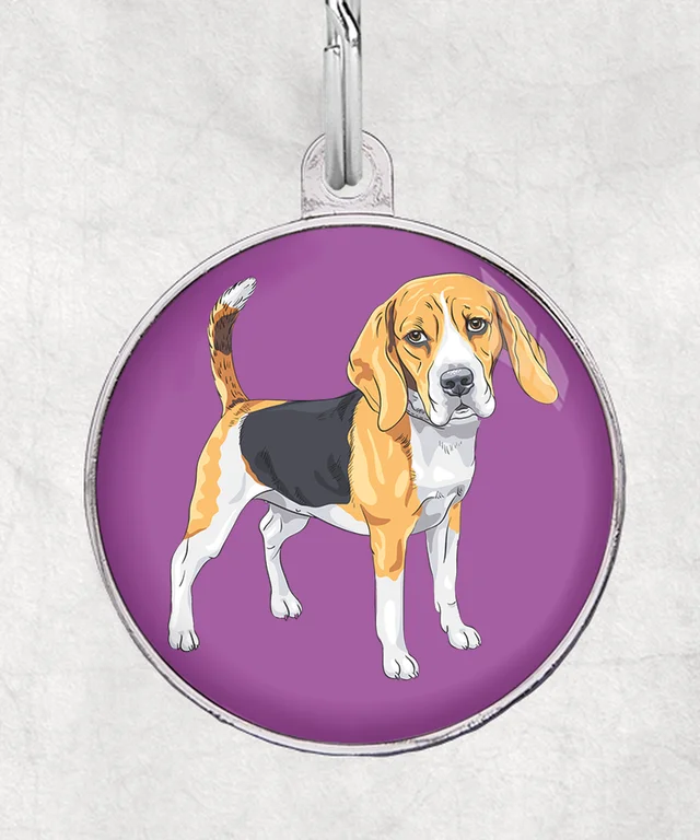 Beagle