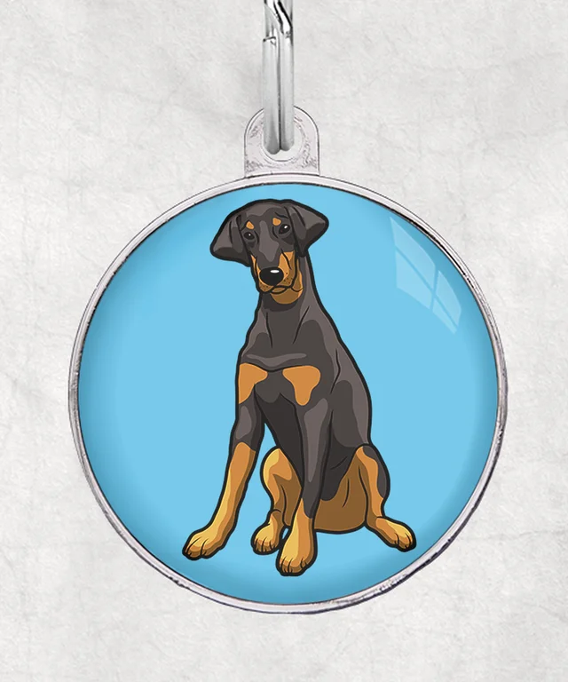 Doberman zwart-bruin