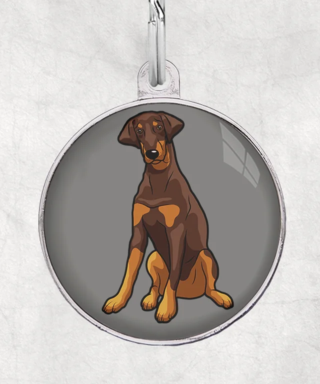 Doberman bruin