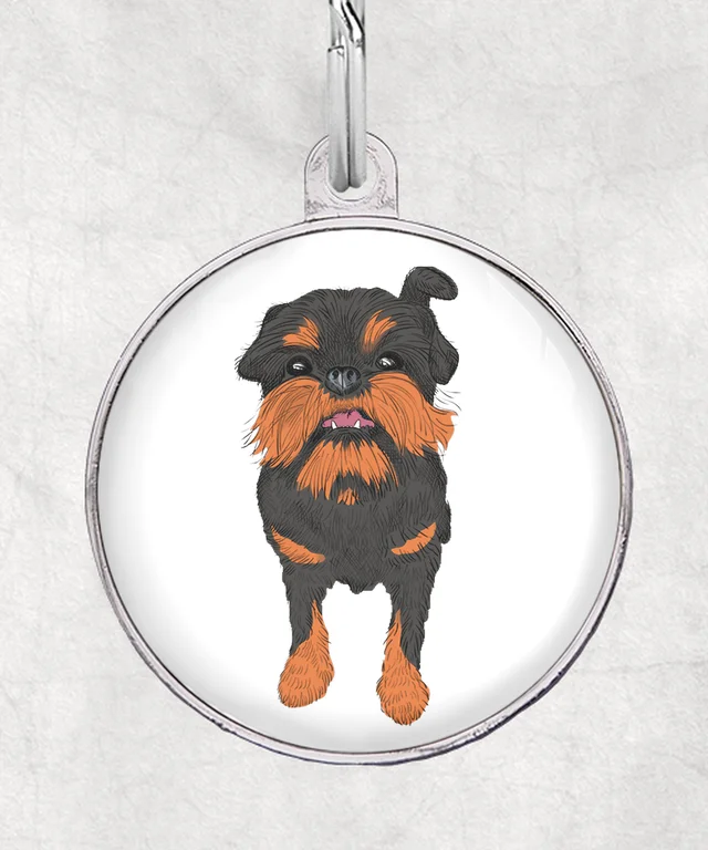 Brusselse Griffon