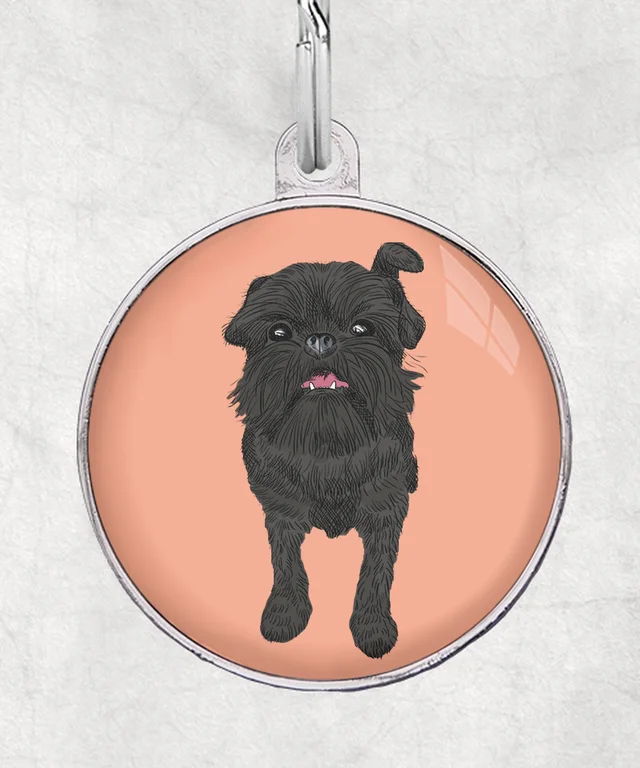 Brusselse Griffon