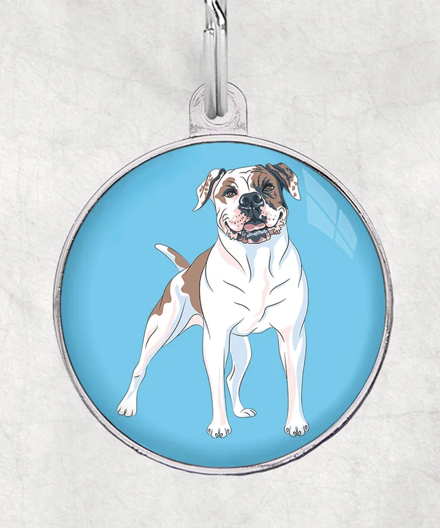 American Bulldog