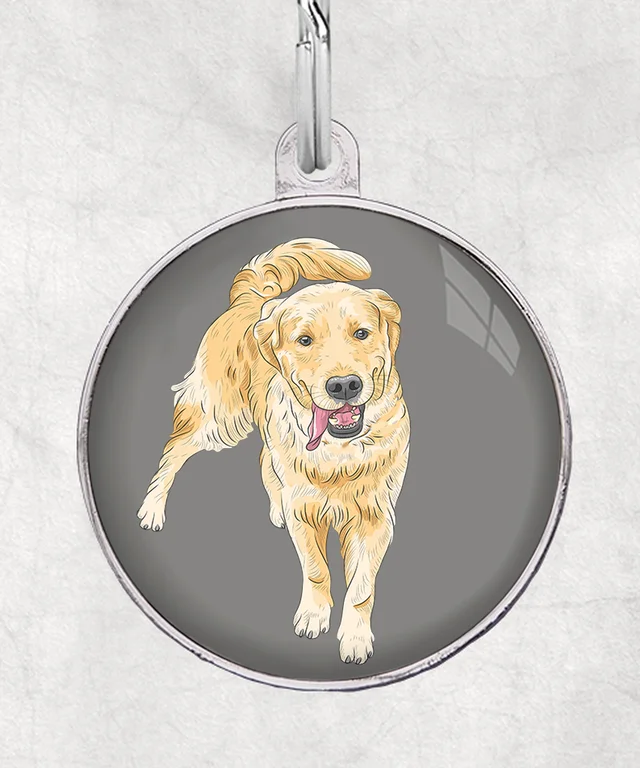 Golden retriever