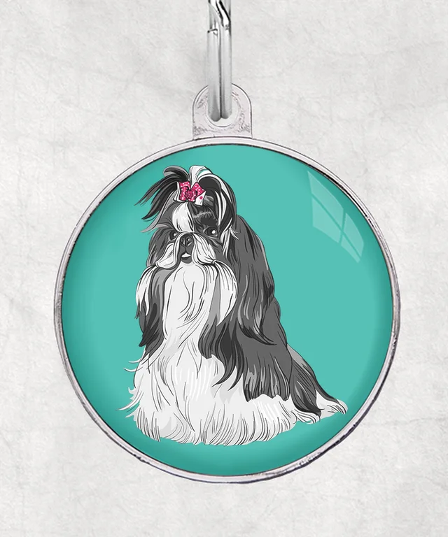 Shih tzu wit zwart