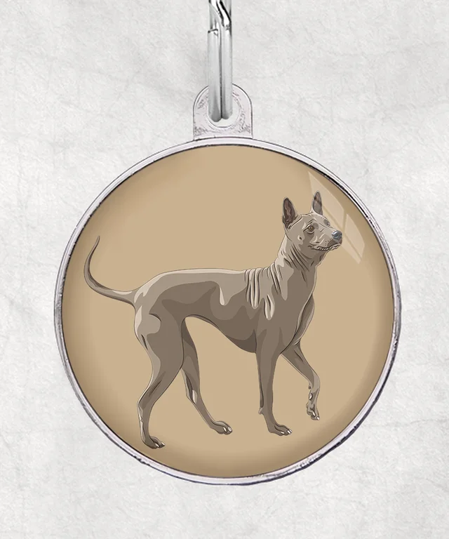 Thai ridgeback staand