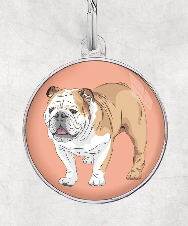 Engelse bulldog