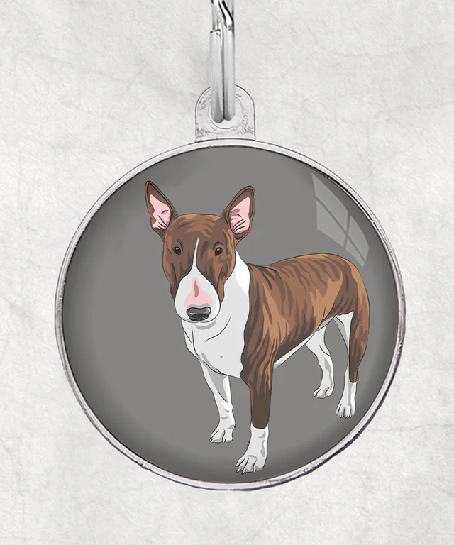 Bull terriër Bridle