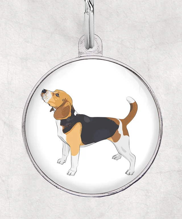 Beagle staand