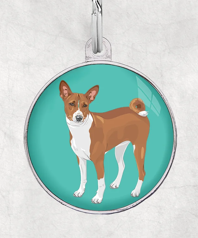 Basenji staand