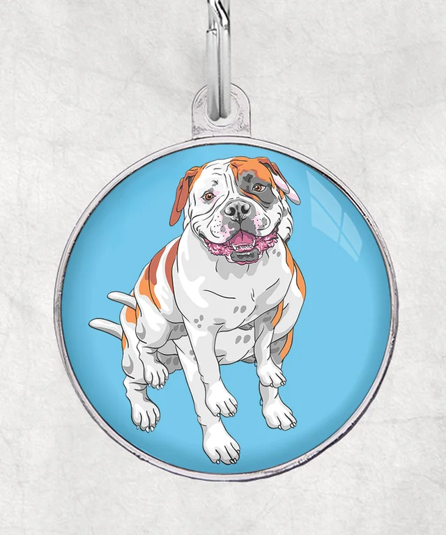 Amerikaanse Bulldog