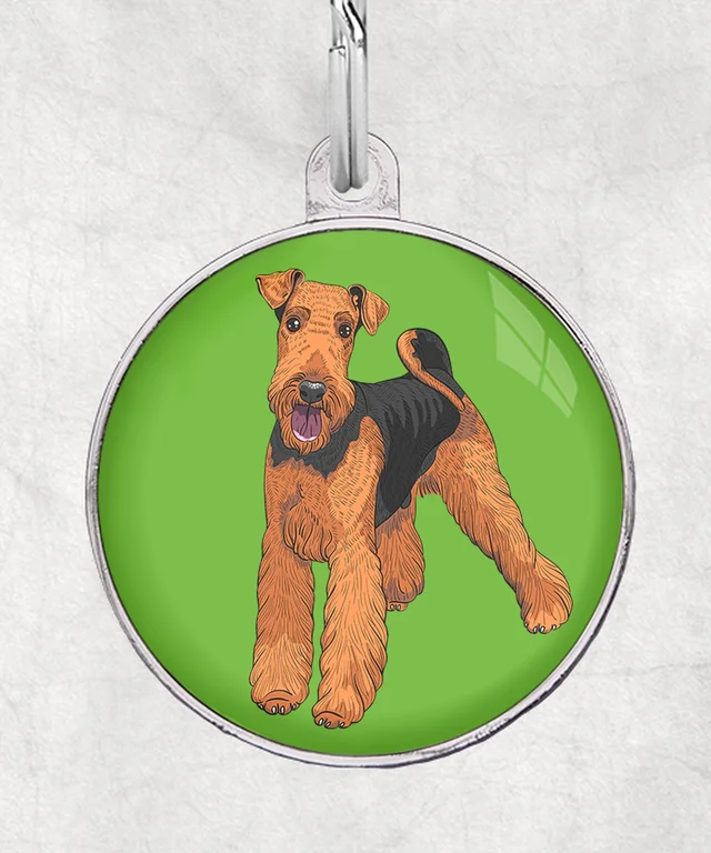 Airedale terrier