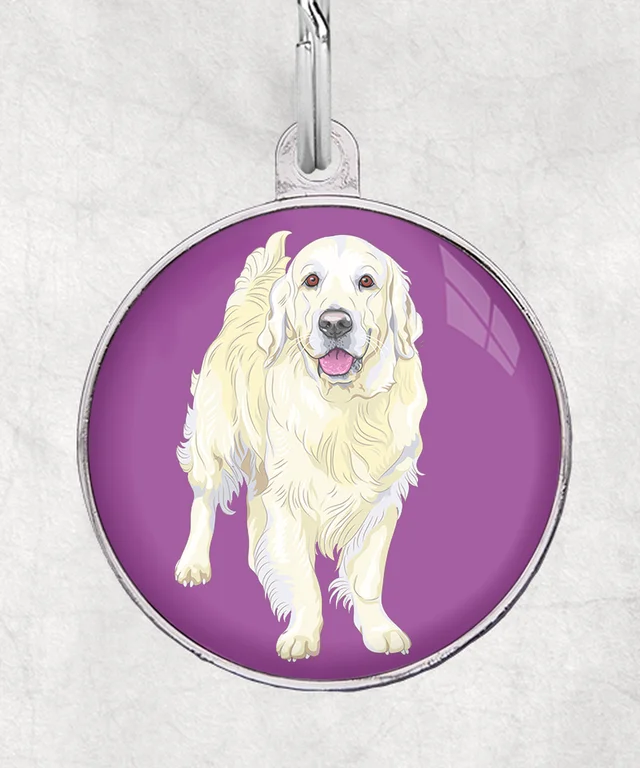 Golden Retriever beige