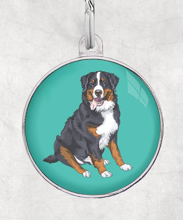 Berner sennen